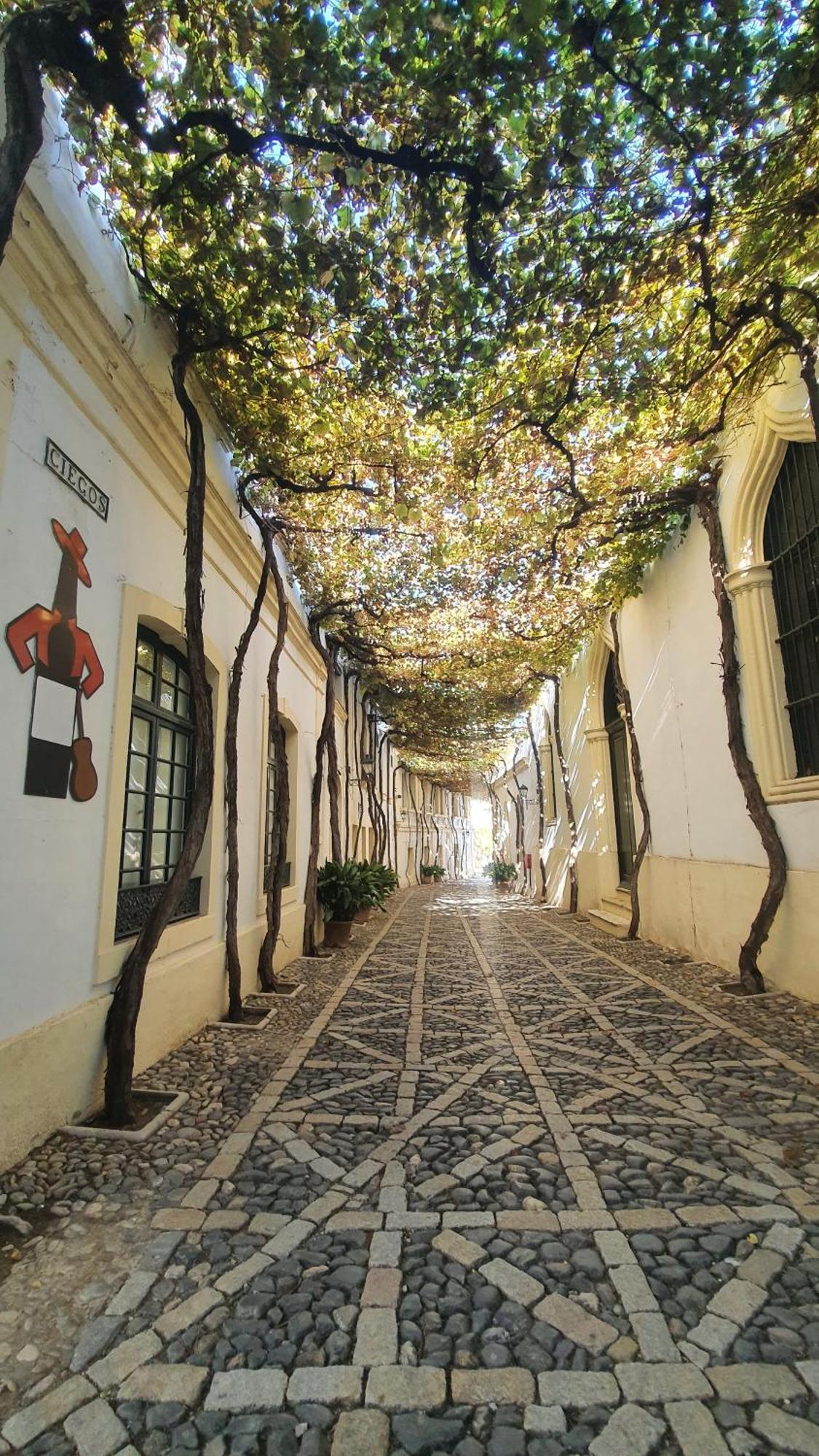 Atico Sonnenschein Apartment Jerez de la Frontera Exterior photo